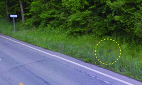 May 2012 Google Streetview image shows the post bent and broken in half, possible collision damage.