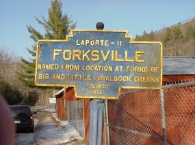 town-forksville-laporte-7